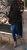 Modny Klasyczny Dwurzędowy Płaszcz Damski Zapinany na Zamek i Guziki Wiązany na Pasek Kołnierz Stójka model #95 Promocja w sklepie FASHIONAVENUE